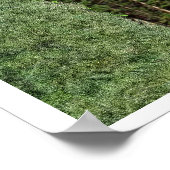 Isaiah 40:30-31 poster (Hoek)