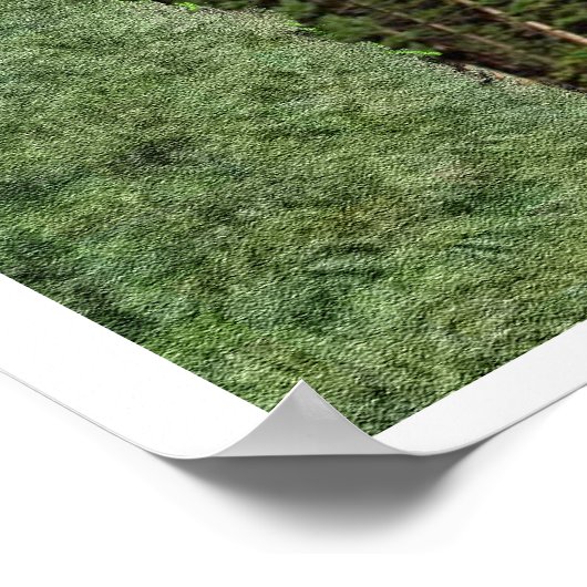 Isaiah 40:30-31 poster (Hoek)