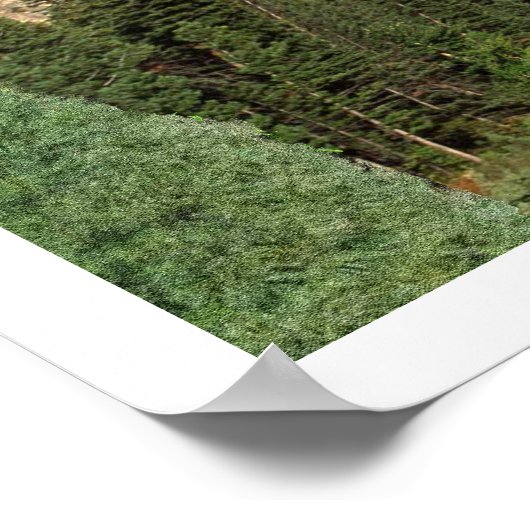 Isaiah 40:30-31 poster (Hoek)