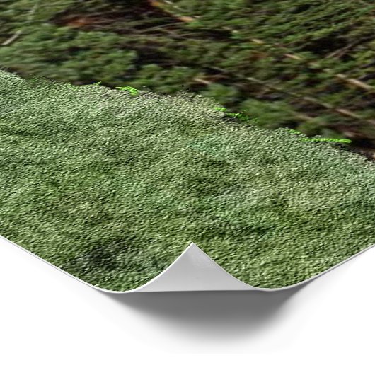 Isaiah 40:30-31 poster (Hoek)