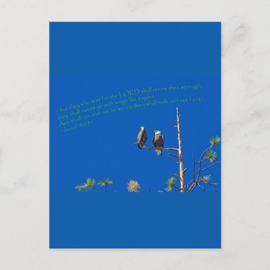 Isaiah 40:31 briefkaart (Voorkant)