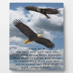 ISAIAH 40:31 FOTOPLAAT