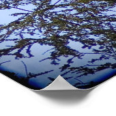 Isaiah 40:31 poster (Hoek)