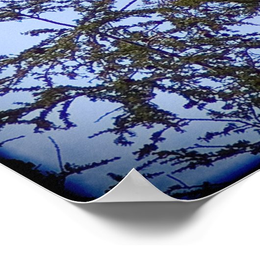 Isaiah 40:31 poster (Hoek)