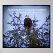 Isaiah 40:31 poster (Voorkant)