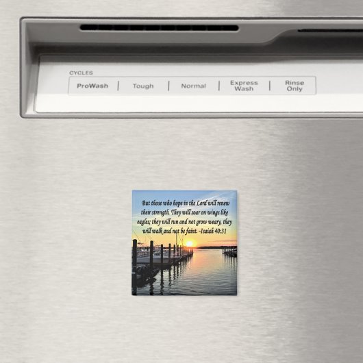 ISAIAH 40:31 SCRIPTURE VERSE MAGNEET (Insitu (Vaatwasser))