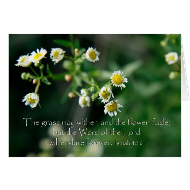 Isaiah 40:8 Het gras kan drager en vervagen (Voorkant Horizontaal)