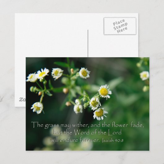 Isaiah 40:8 Het gras kan drager en vervagen Briefkaart (Voorkant / Achterkant)