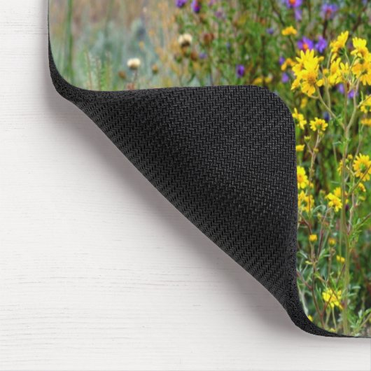 Isaiah 40:8 muismat (Hoek)