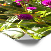 Isaiah 40:8 poster (Hoek)