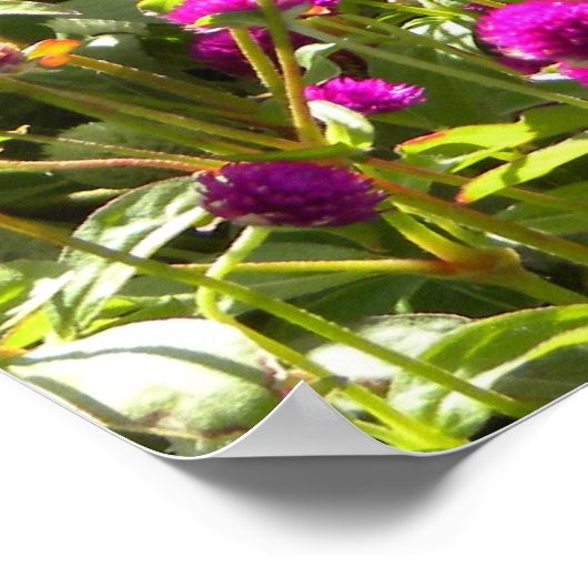 Isaiah 40:8 poster (Hoek)