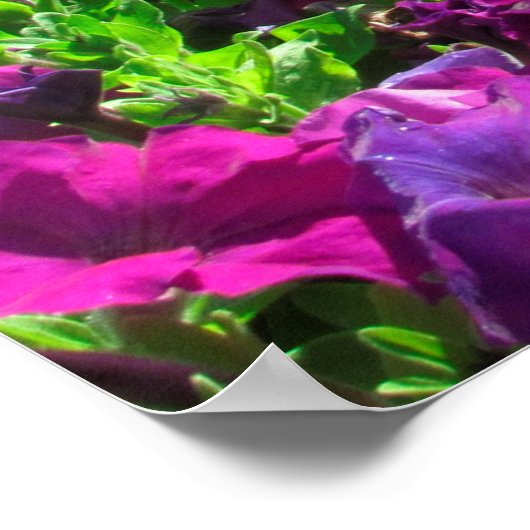  ISAIAH 41:10 FLORAL ONTWERP POSTER (Hoek)