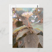 Isaiah 41:13 briefkaart (Voorkant / Achterkant)