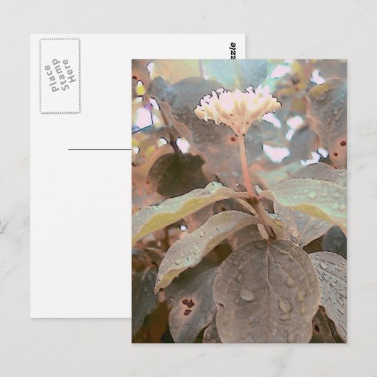 Isaiah 41:13 briefkaart (Voorkant / Achterkant)