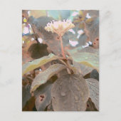 Isaiah 41:13 briefkaart (Voorkant)