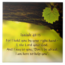 Isaiah 41:13 Ik hou je bij je rechterhand. Bijbel