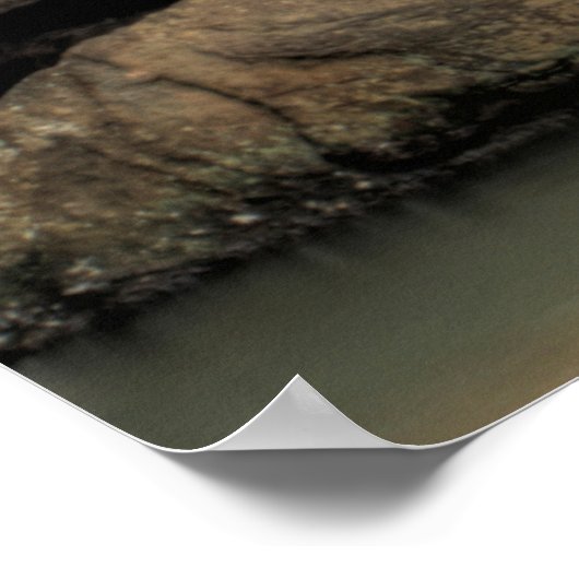 Isaiah 41:18 Waterfall Poster (Hoek)