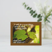 Isaiah 43:19 Bijbel Verse ik zal iets nieuws doen Briefkaart (Staand voorkant)