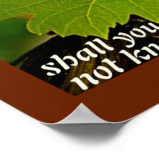 Isaiah 43:19 Bijbelverse, ik zal iets nieuws doen Poster (Hoek)