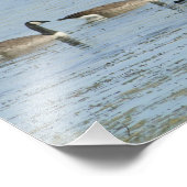 Isaiah 43:2 Bijbelversie met zwemganzen Foto Afdruk (Hoek)