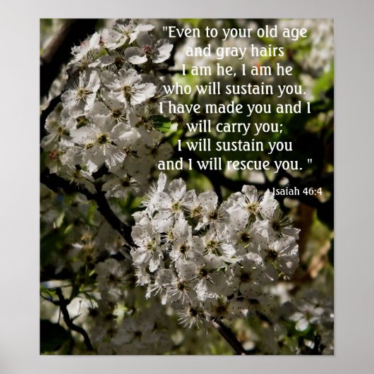 Isaiah 46:4 poster (Voorkant)