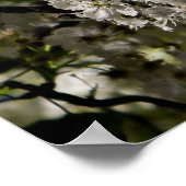 Isaiah 46:4 poster (Hoek)