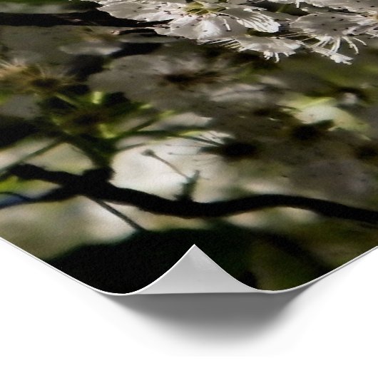 Isaiah 46:4 poster (Hoek)