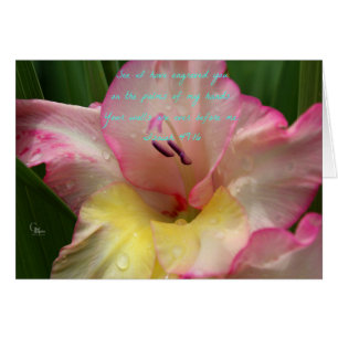 Isaiah 49:16 Roze Raindrop Gladiolus Kaart