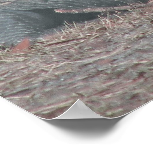 Isaiah 54:15-17 poster (Hoek)