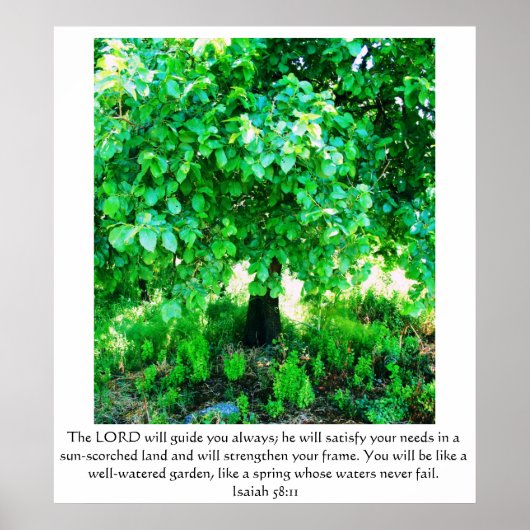 Isaiah 58:11 POSTER (Voorkant)