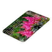Isaiah 61:11 Roze Floral Inspirerend Magneet (Linkerzijde)