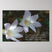 Isaias 40:8 con Lirios Poster (Voorkant)