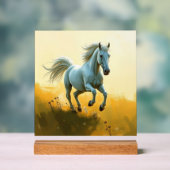 ISC: 10 Kunst Acryl Bord (Neutraal)