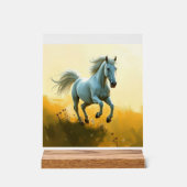ISC: 10 Kunst Acryl Bord (Voorkant)