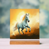 ISC: 11 Kunst Acryl Bord (Neutraal)