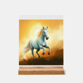 ISC: 11 Kunst Acryl Bord (Voorkant)
