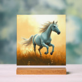 ISC: 12 Kunst Acryl Bord (Neutraal)