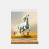 ISC: 16 Kunst Acryl Bord (Voorkant)