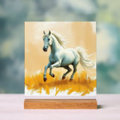 ISC: 21 Kunst Acryl Bord (Neutraal)