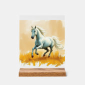 ISC: 21 Kunst Acryl Bord (Voorkant)