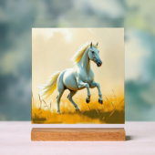 ISC: 22 Kunst Acryl Bord (Neutraal)