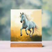 ISC: 2 Kunst Acryl Bord (Neutraal)