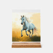 ISC: 2 Kunst Acryl Bord (Voorkant)