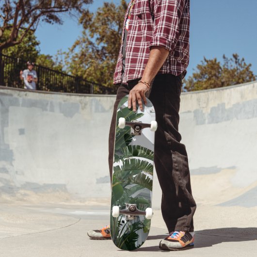 Ischia Bird of Paradise Droom 1 Persoonlijk Skateboard (Buiten 2)
