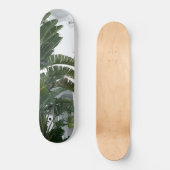 Ischia Bird of Paradise Droom 1 Persoonlijk Skateboard (Voorkant)