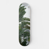 Ischia Bird of Paradise Droom 1 Persoonlijk Skateboard (Voorkant)
