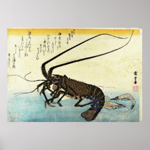 Iseebi & Ebi - Crawfish (Spiny Lobster) en garnaal Poster