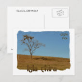 Isla de Chira Briefkaart (Voorkant / Achterkant)