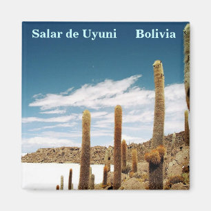 Isla del Pescado, Salar de Uyuni, Bolivia Magneet