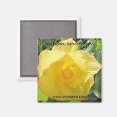 Isla Espiritu Santo, Islas las Perlas, Panama Magneet (Voorkant / Achterkant)